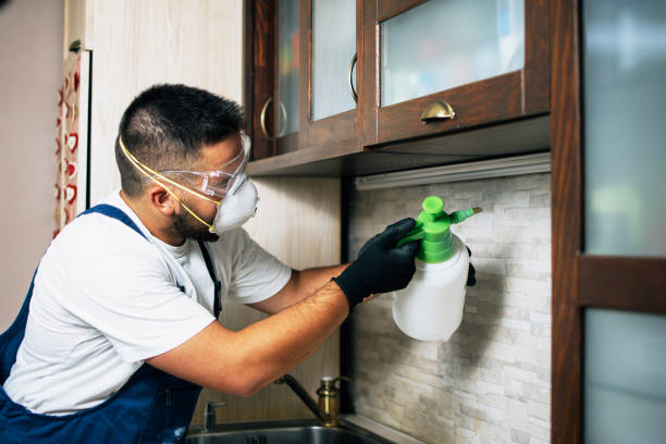 Best Residential Pest Control  in Blooming Prairie, MN