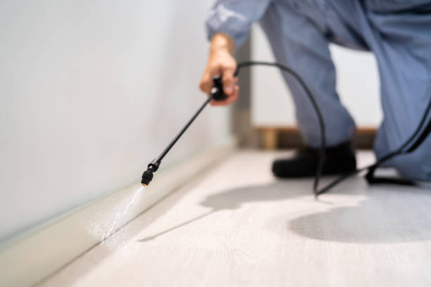 Best Wasp Removal Services  in Blooming Prairie, MN