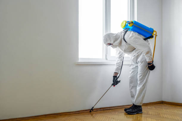 Best Emergency Pest Control  in Blooming Prairie, MN