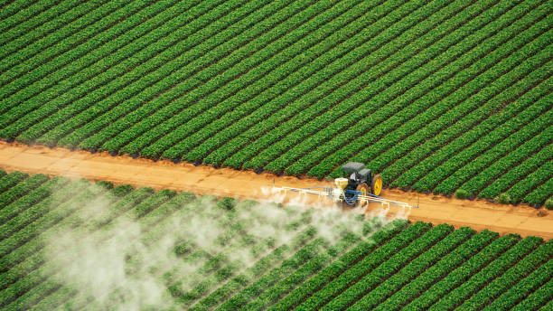 Best Commercial Pest Control Services  in Blooming Prairie, MN